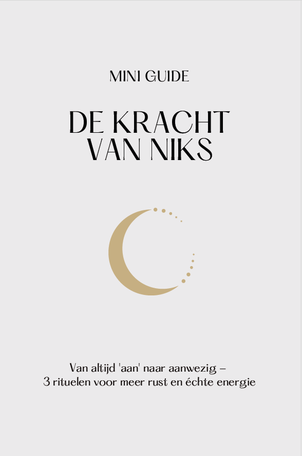 Mini Guide - De Kracht van Niks